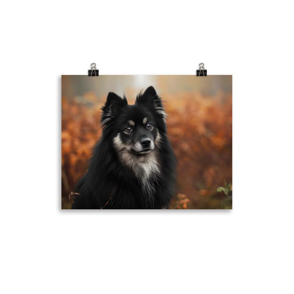 Finnish Lapphund Majestic Autumn Portrait Poster - Oh Posters