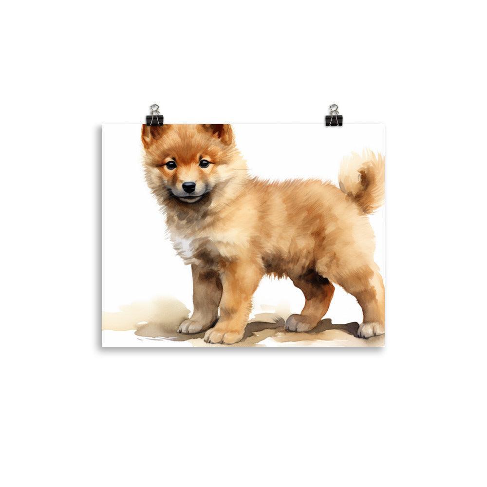 Finnish Spitz Puppy Attentive Watercolor Portrait Poster - Oh Posters