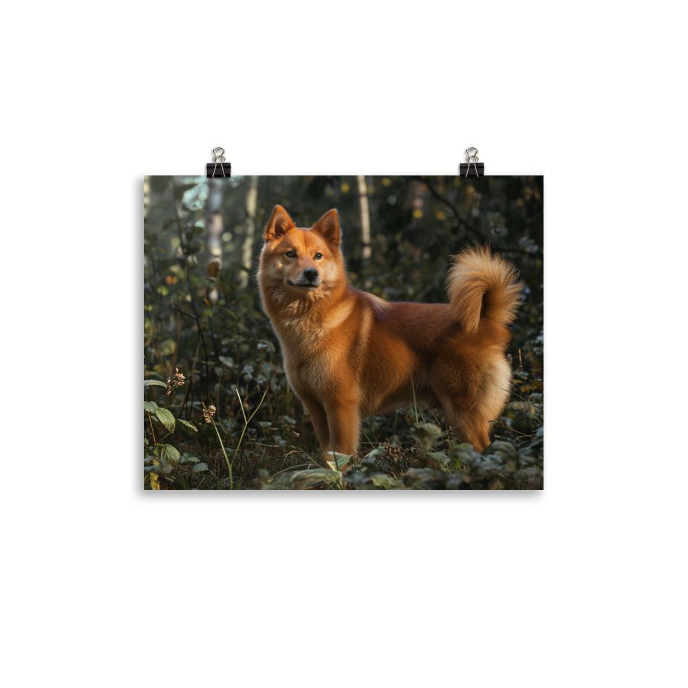 Finnish Spitz Forest Light Photography Poster - Oh Posters