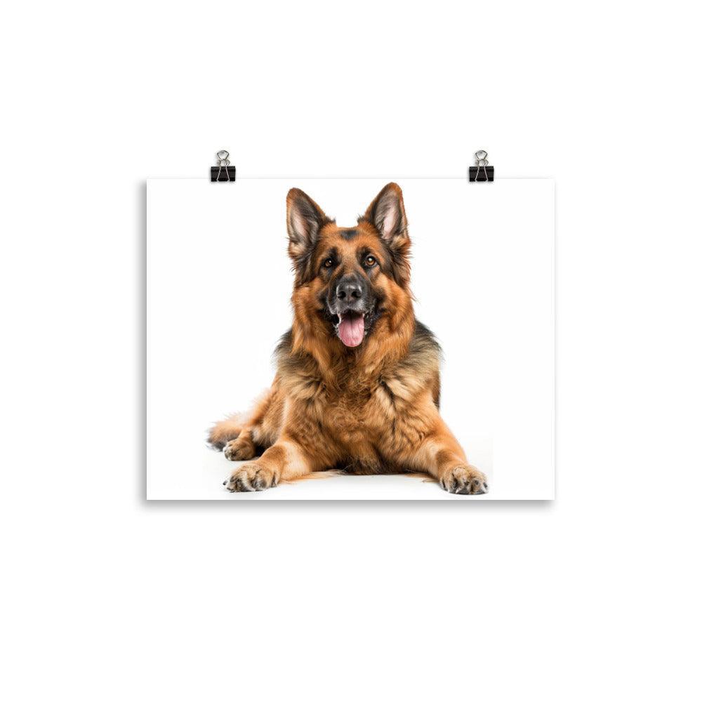 German Shepherd Smiling Studio Photo Poster - Oh Posters