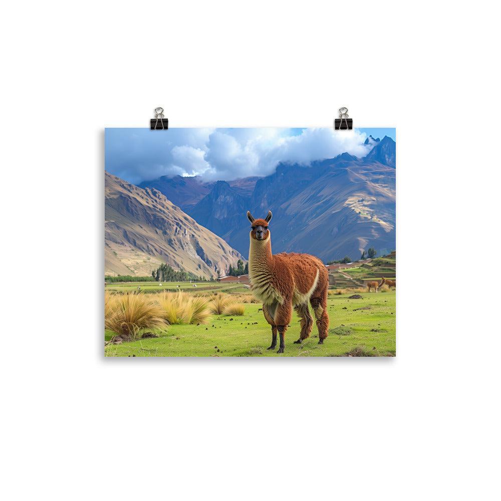 Peru Majestic Llama Andean Landscape Poster - Oh Posters