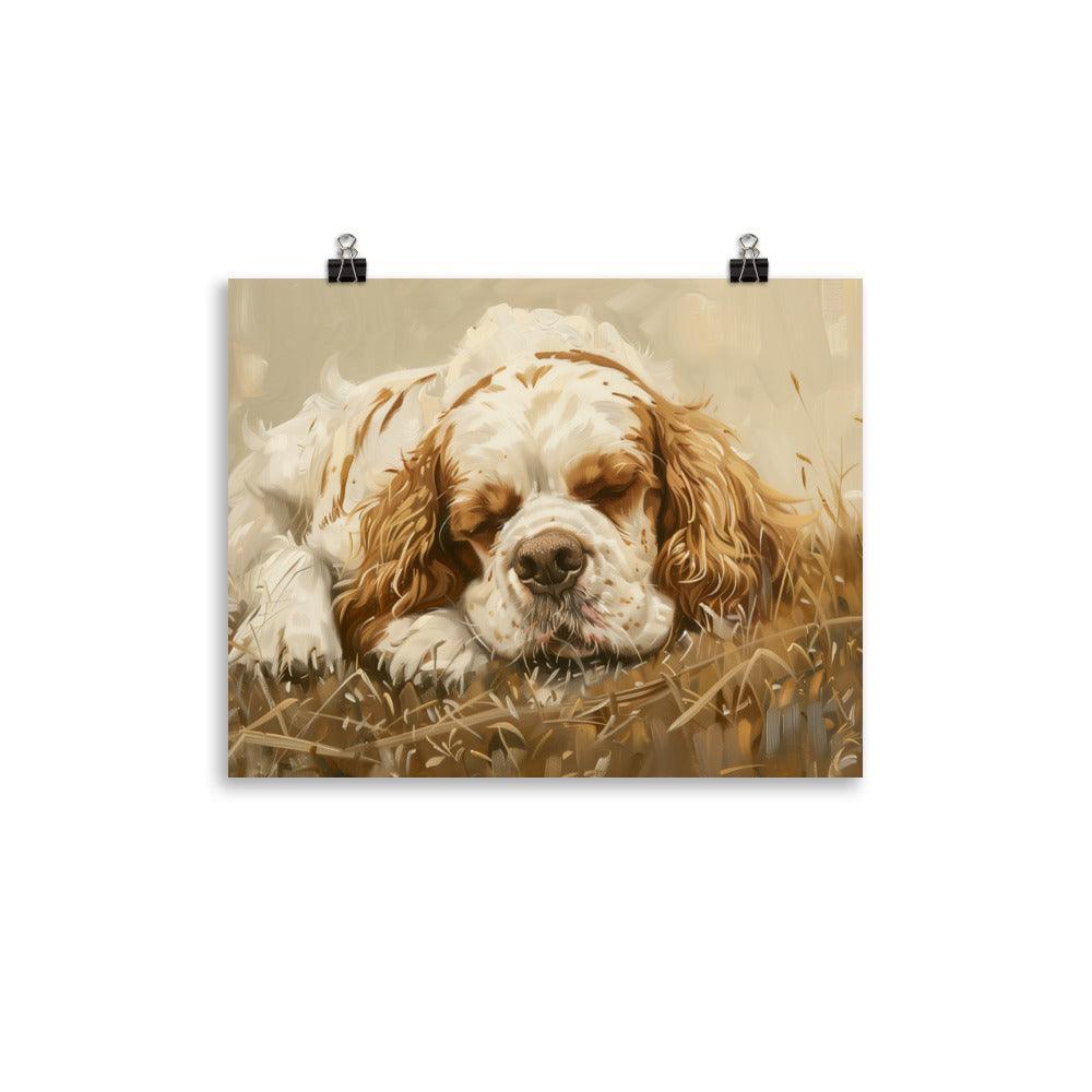 Clumber Spaniel Resting in Field Painting Poster - Oh Posters