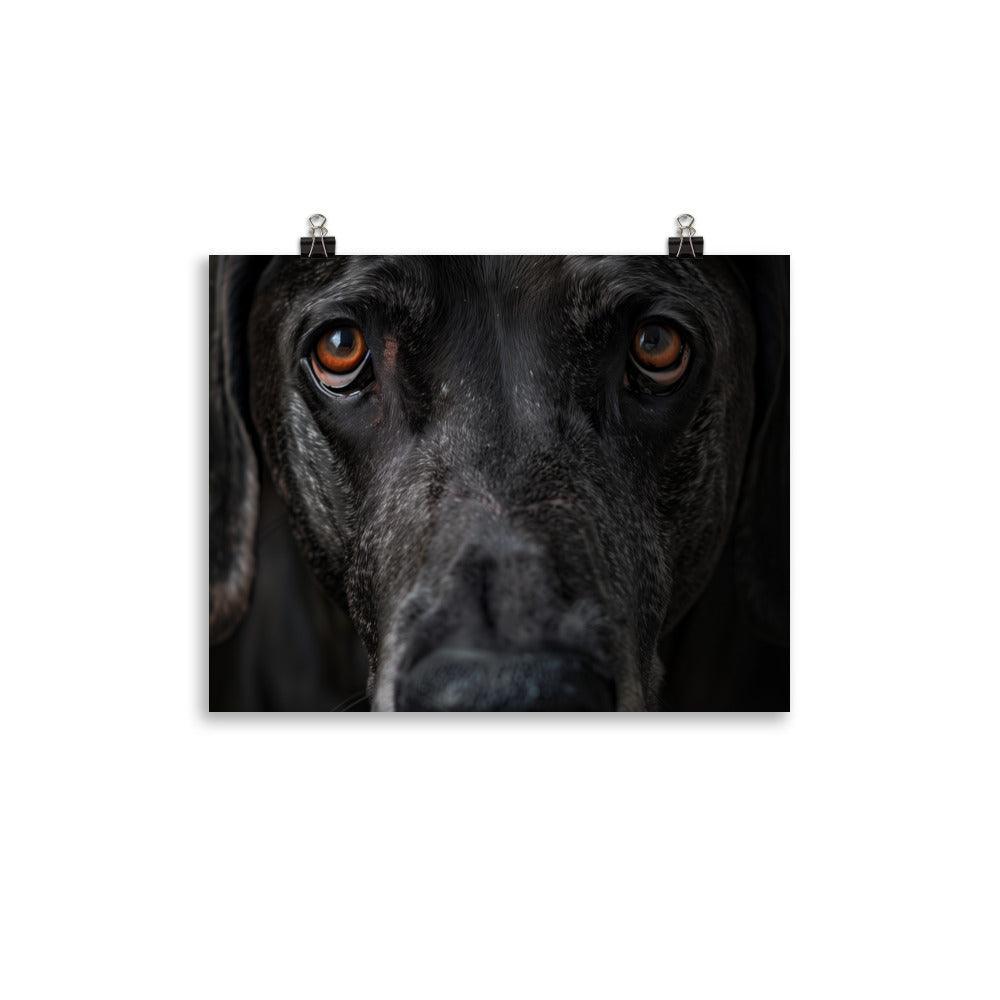 Great Dane Intense Close-Up Portrait Poster - Oh Posters