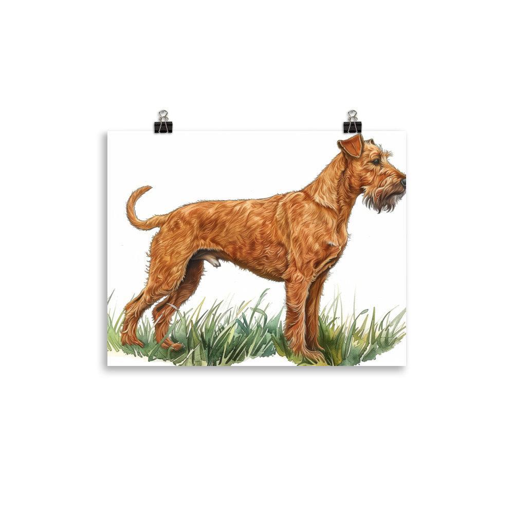 Irish Terrier Detailed Illustration Poster - Oh Posters