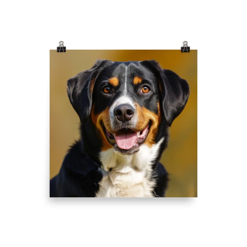 Entlebucher Mountain Dog Portrait Sunshine Poster - Oh Posters