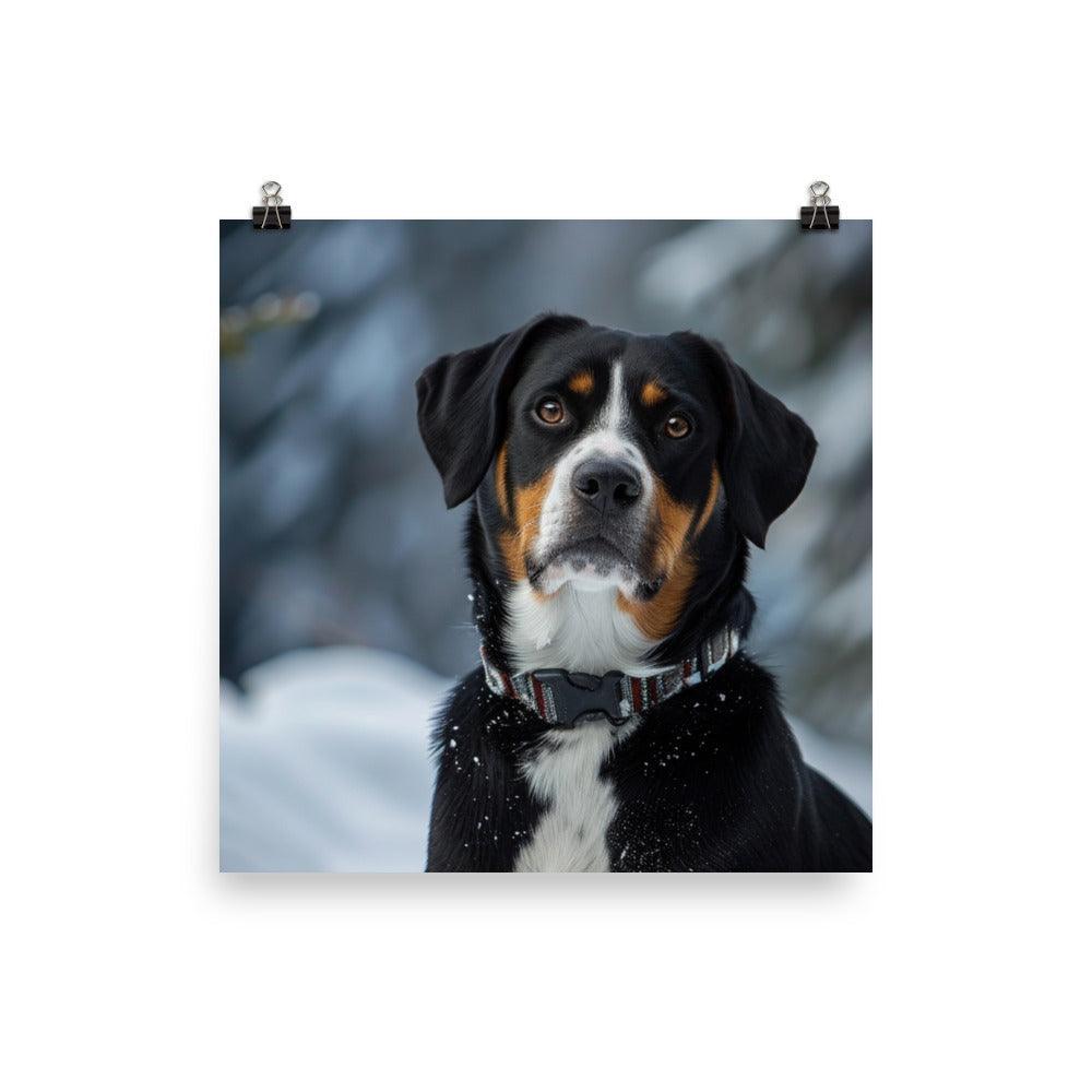 Entlebucher Mountain Dog Winter Snowfall Photo Poster - Oh Posters