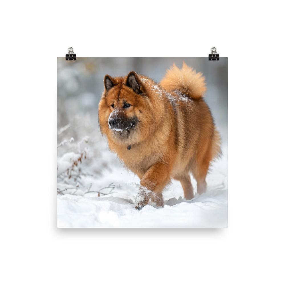 Eurasier Dog Exploring Snowy Landscape Photo Poster - Oh Posters