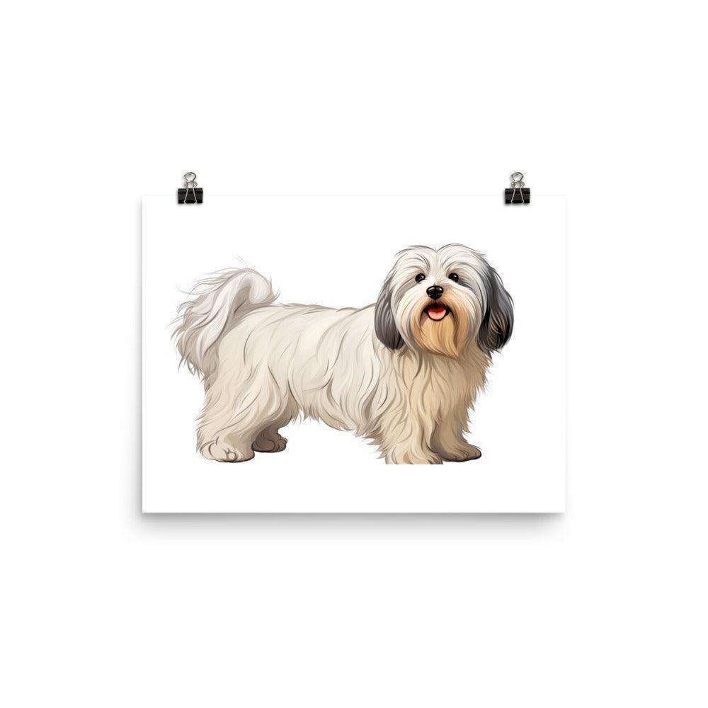 Joyful Coton De Tulear Portrait with Soft Tones and Happy Expression Poster - Oh Posters