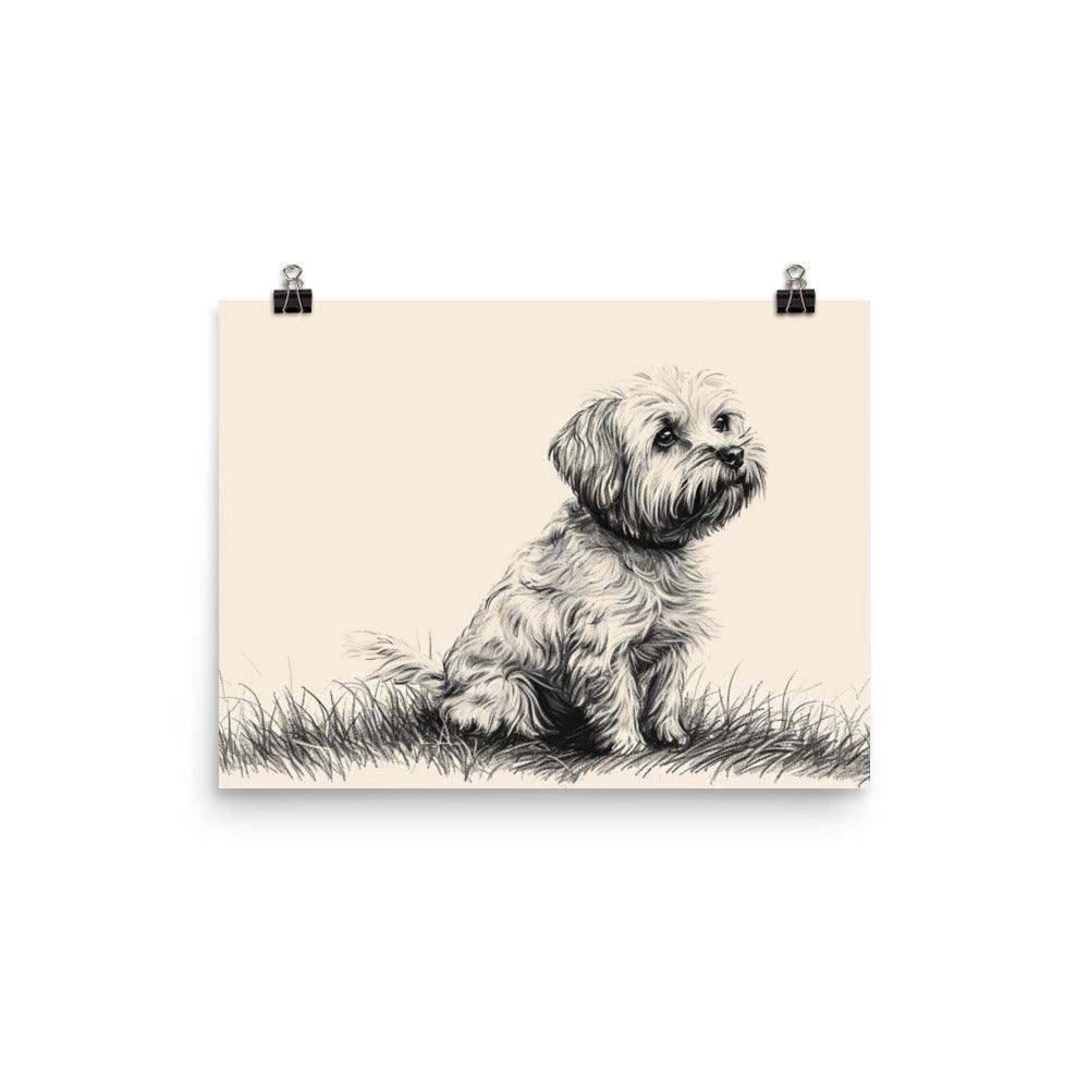 Dandie Dinmont Terrier Pencil Sketch Dog Poster - Oh Posters