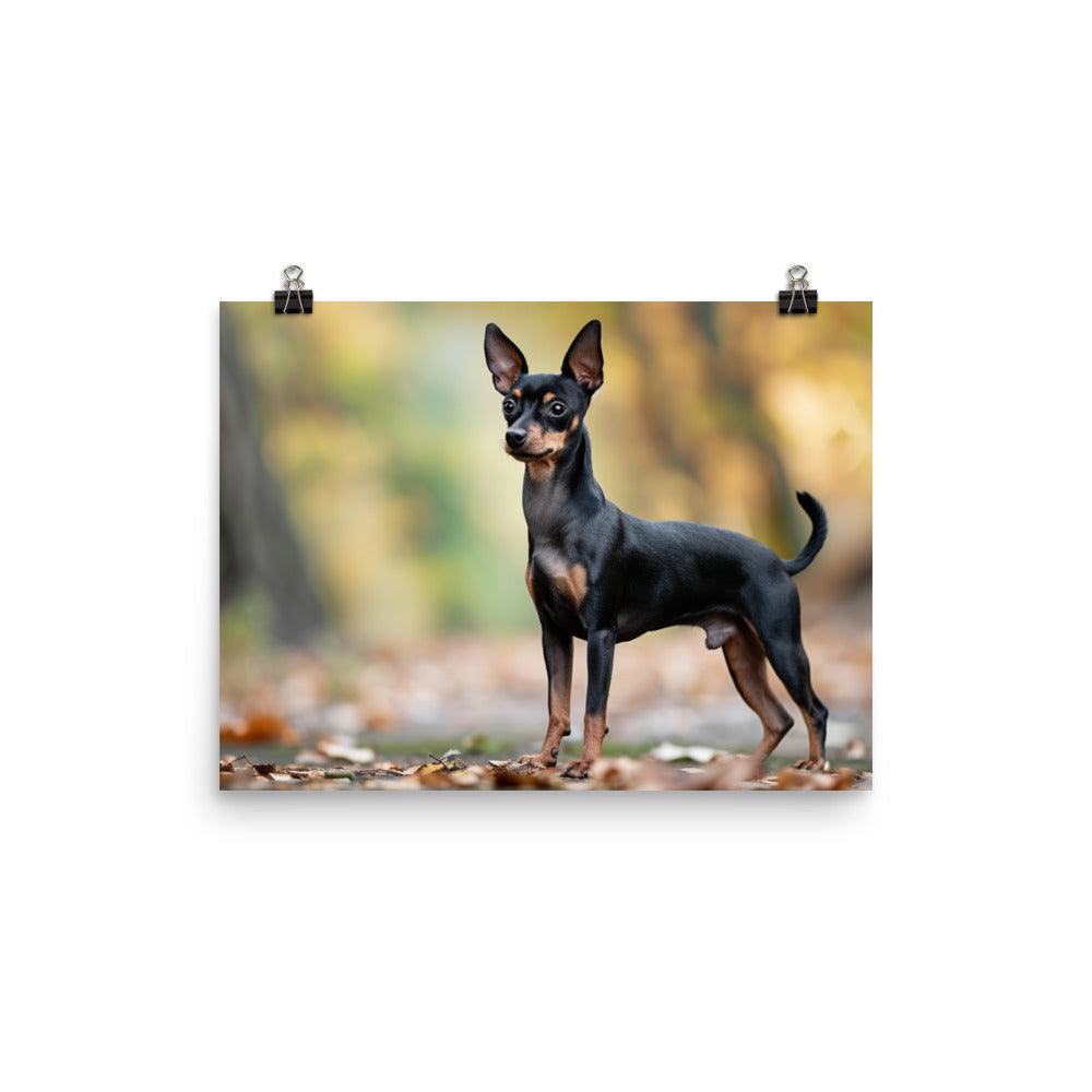 Lifelike English Toy Terrier in Autumn Leaves Poster - Oh Posters