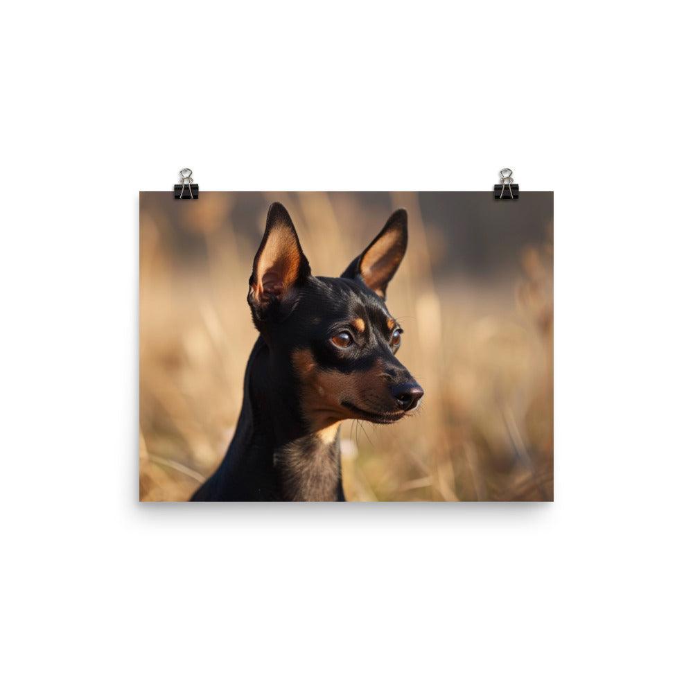 Realistic English Toy Terrier in Golden Field Poster - Oh Posters