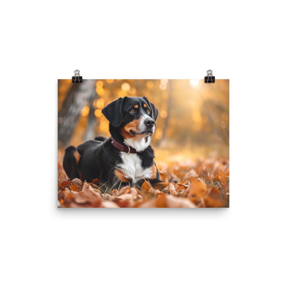 Entlebucher Mountain Dog Autumn Leaves Photography Poster - Oh Posters