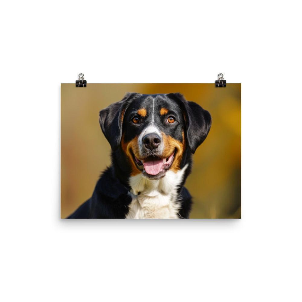 Entlebucher Mountain Dog Portrait Sunshine Poster - Oh Posters