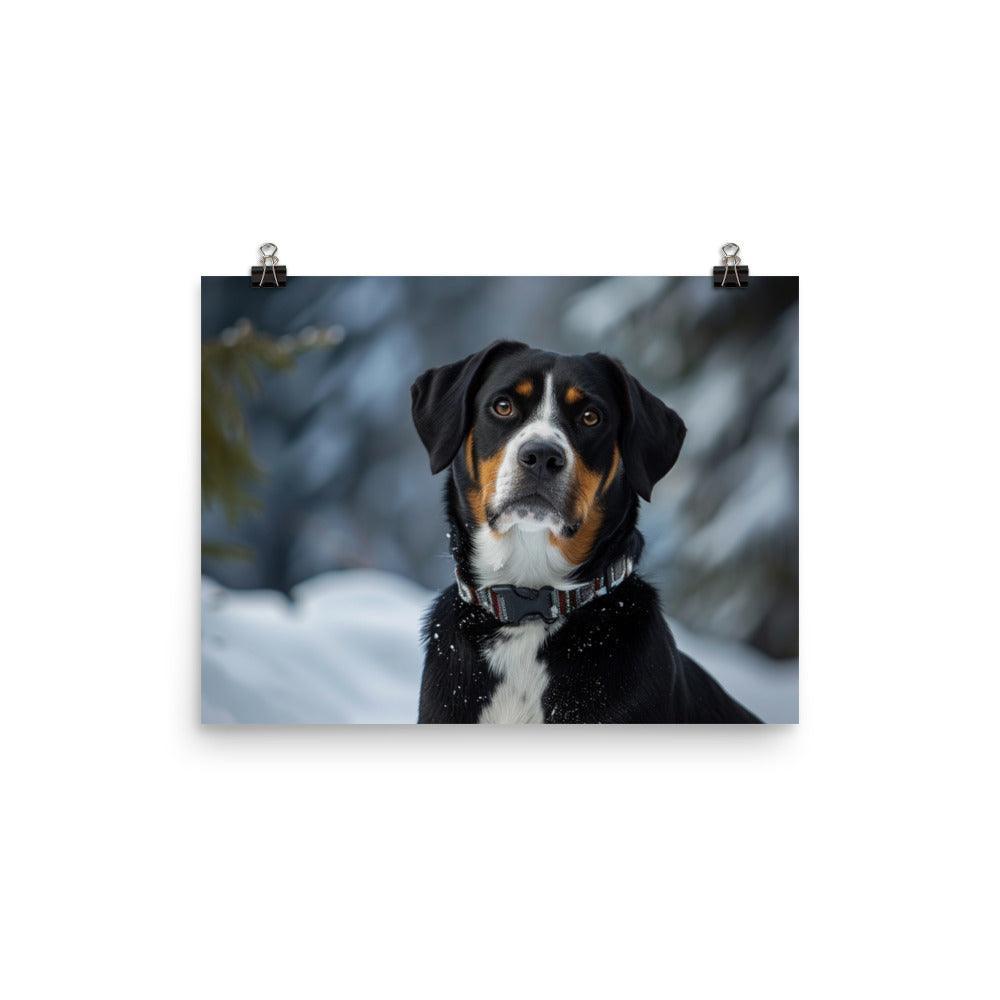 Entlebucher Mountain Dog Winter Snowfall Photo Poster - Oh Posters