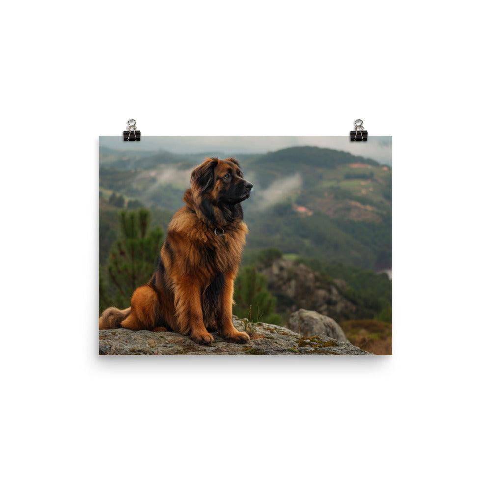 Estrela Mountain Dog Overlooking Valley View Poster - Oh Posters