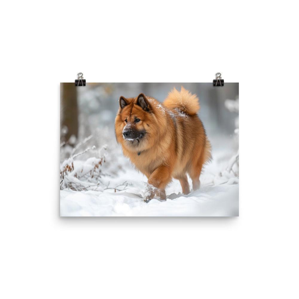 Eurasier Dog Exploring Snowy Landscape Photo Poster - Oh Posters