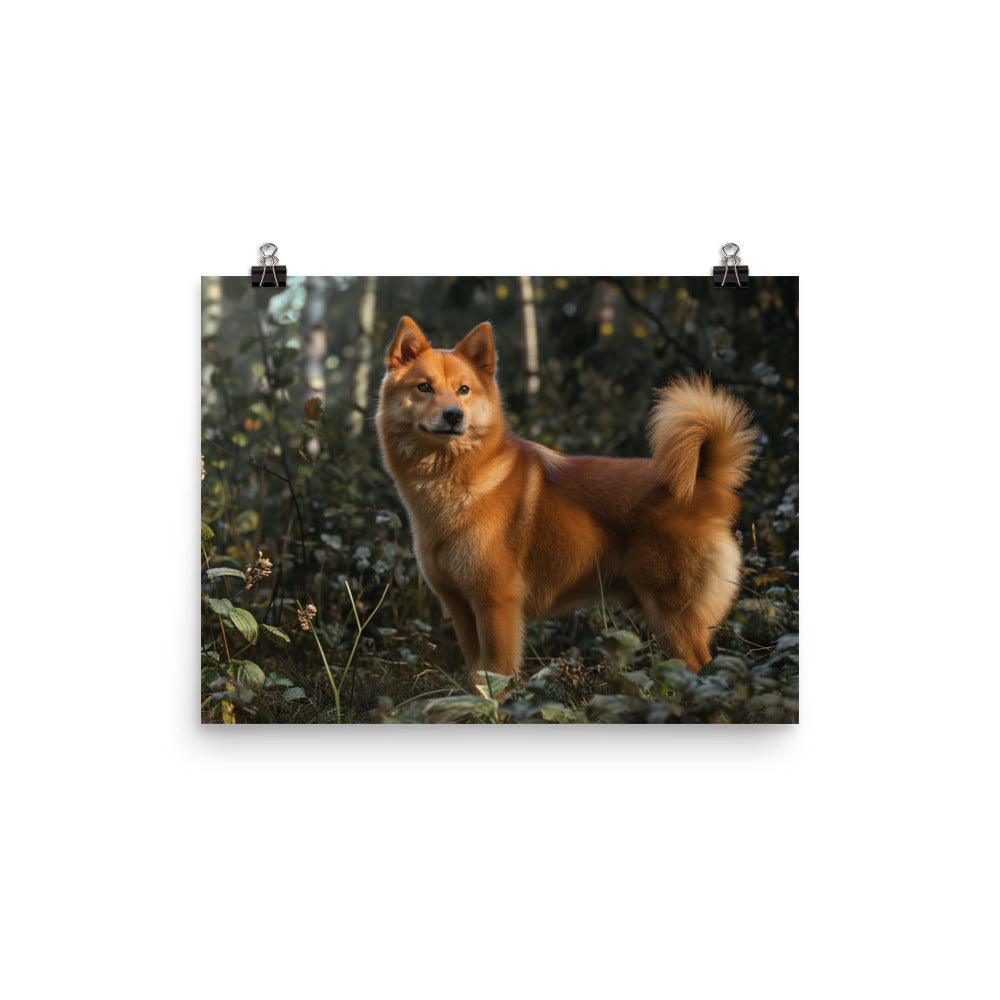 Finnish Spitz Forest Light Photography Poster - Oh Posters