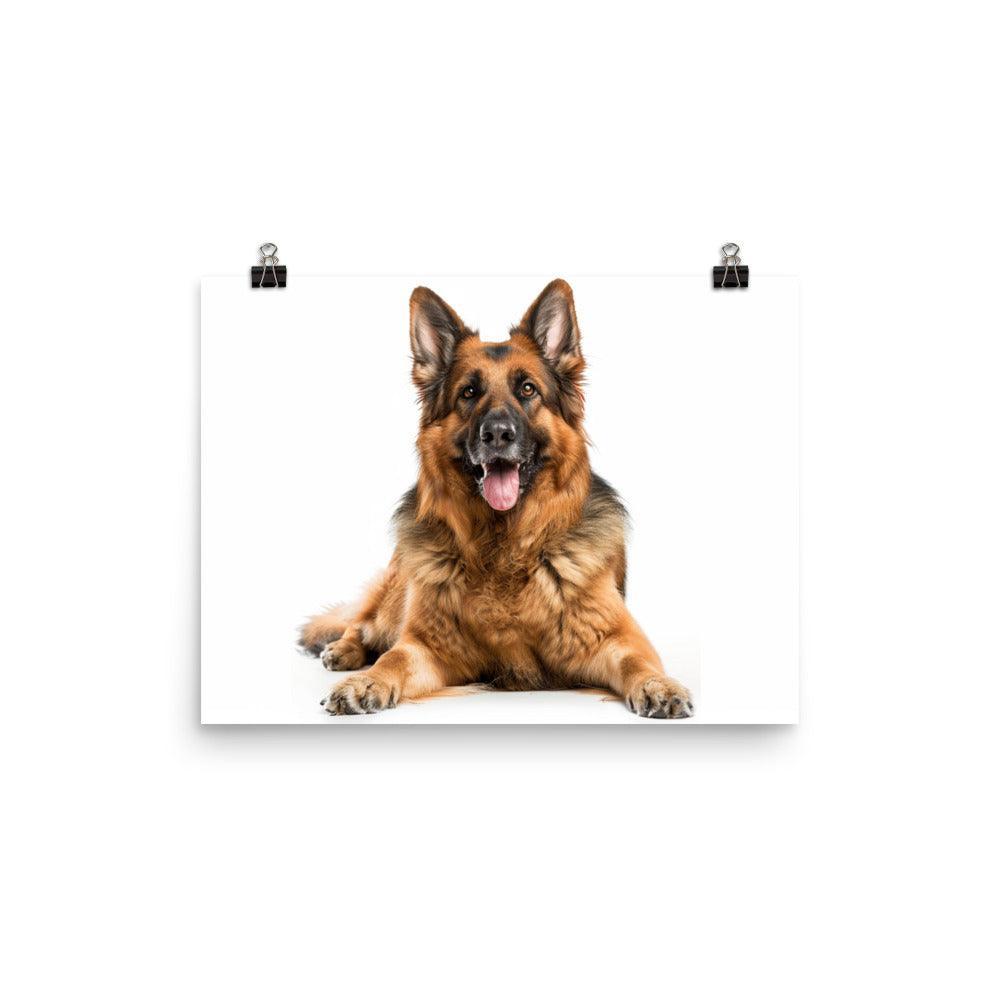 German Shepherd Smiling Studio Photo Poster - Oh Posters