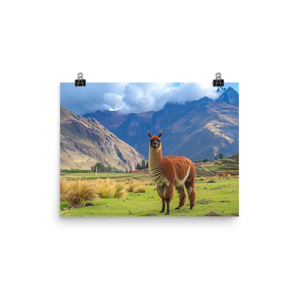 Peru Majestic Llama Andean Landscape Poster - Oh Posters