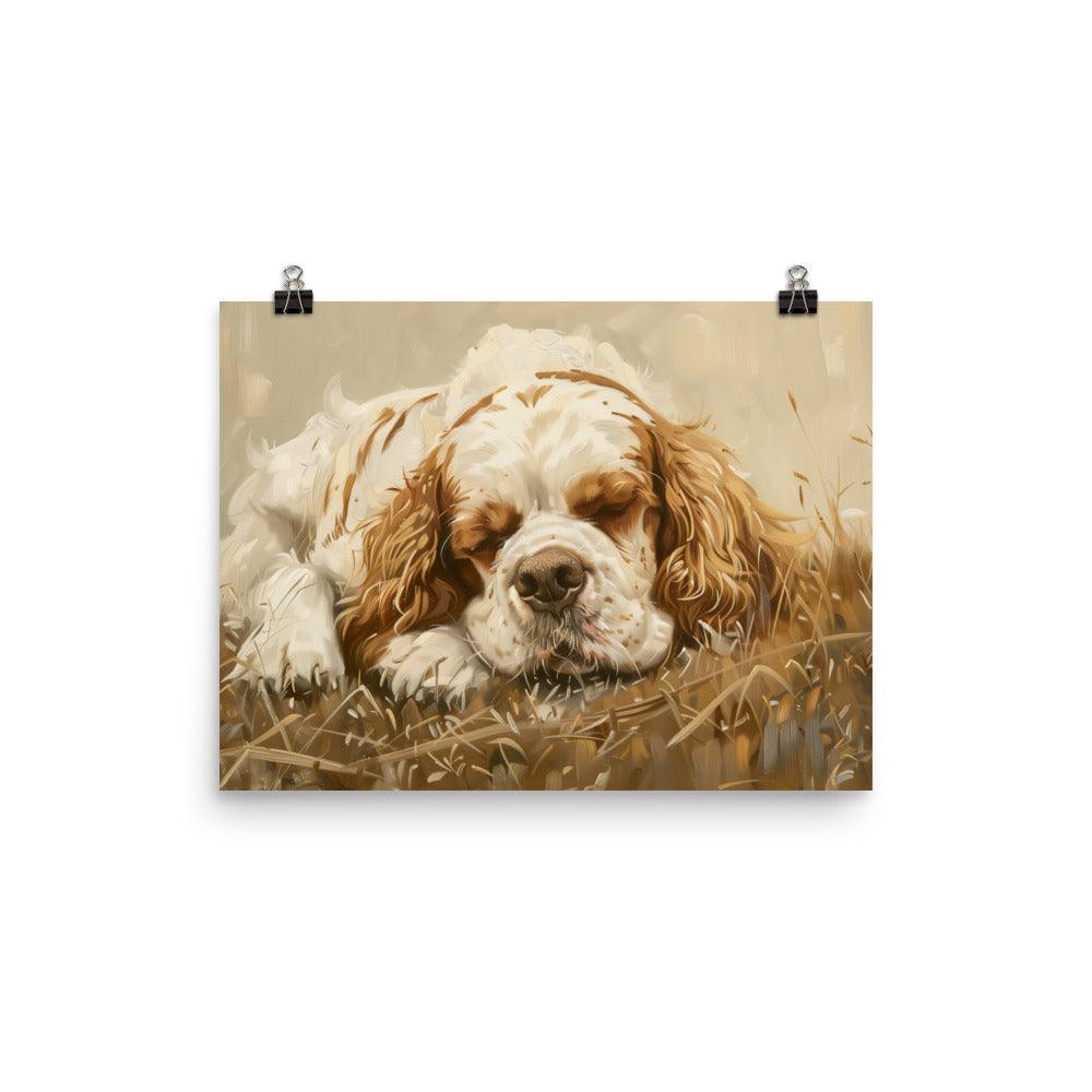 Clumber Spaniel Resting in Field Painting Poster - Oh Posters