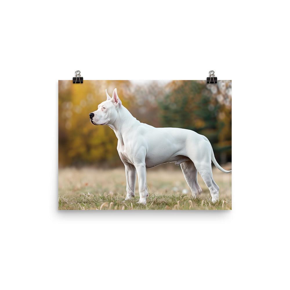 Dogo Argentino Standing in Autumn Field Portrait Poster - Oh Posters