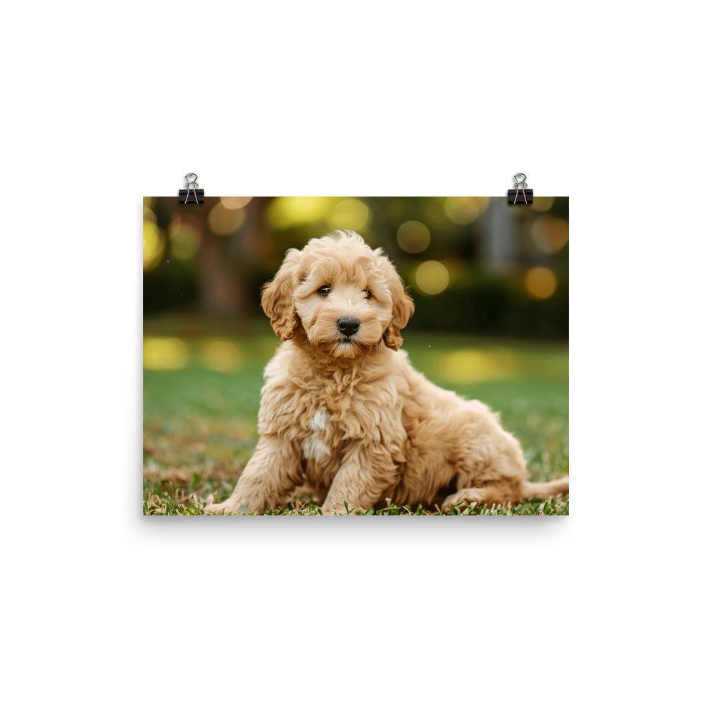 Goldendoodle Puppy in Green Field Poster - Oh Posters