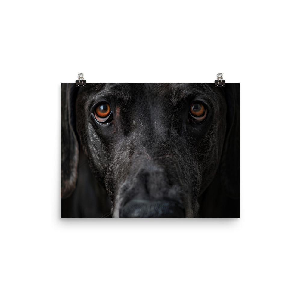 Great Dane Intense Close-Up Portrait Poster - Oh Posters