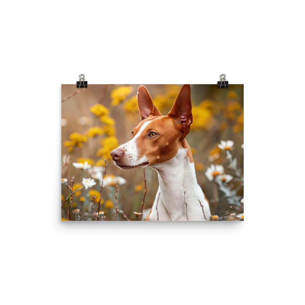 Ibizan Hound in Wildflower Field Photography Poster - Oh Posters