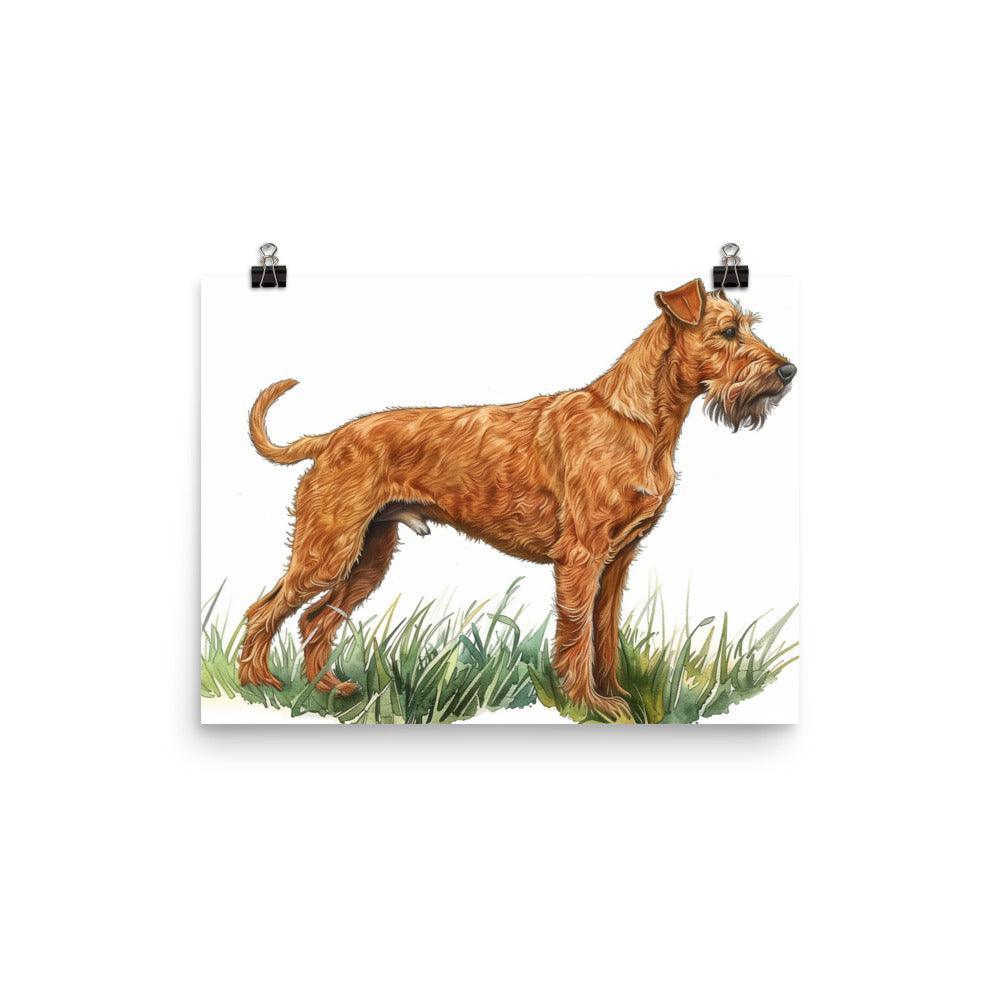 Irish Terrier Detailed Illustration Poster - Oh Posters