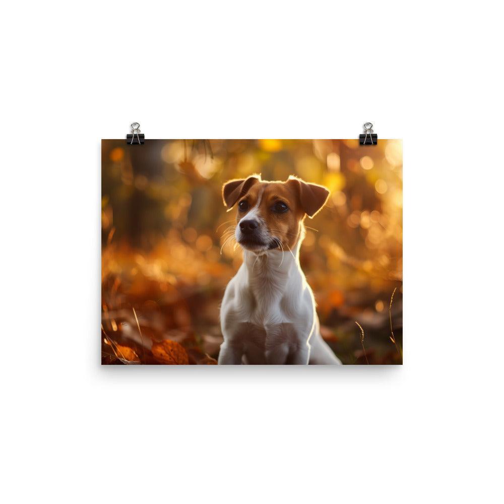 Jack Russell Terrier Autumn Forest Photograph Poster - Oh Posters