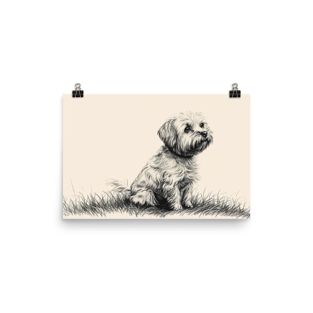 Dandie Dinmont Terrier Pencil Sketch Dog Poster - Oh Posters