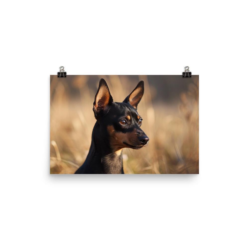 Realistic English Toy Terrier in Golden Field Poster - Oh Posters