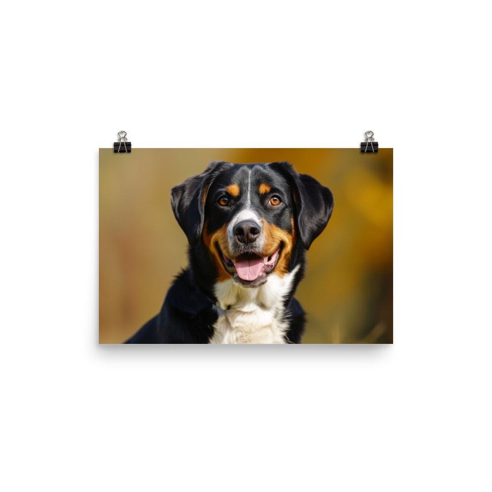 Entlebucher Mountain Dog Portrait Sunshine Poster - Oh Posters