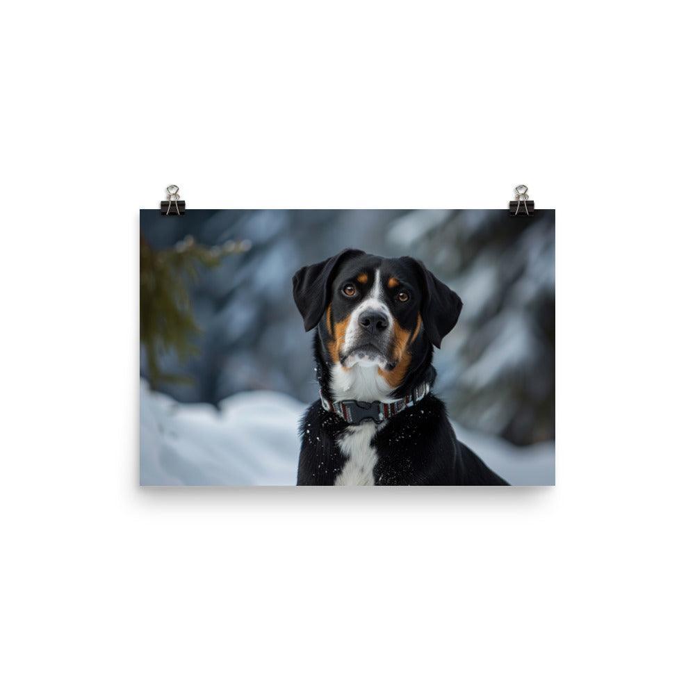 Entlebucher Mountain Dog Winter Snowfall Photo Poster - Oh Posters