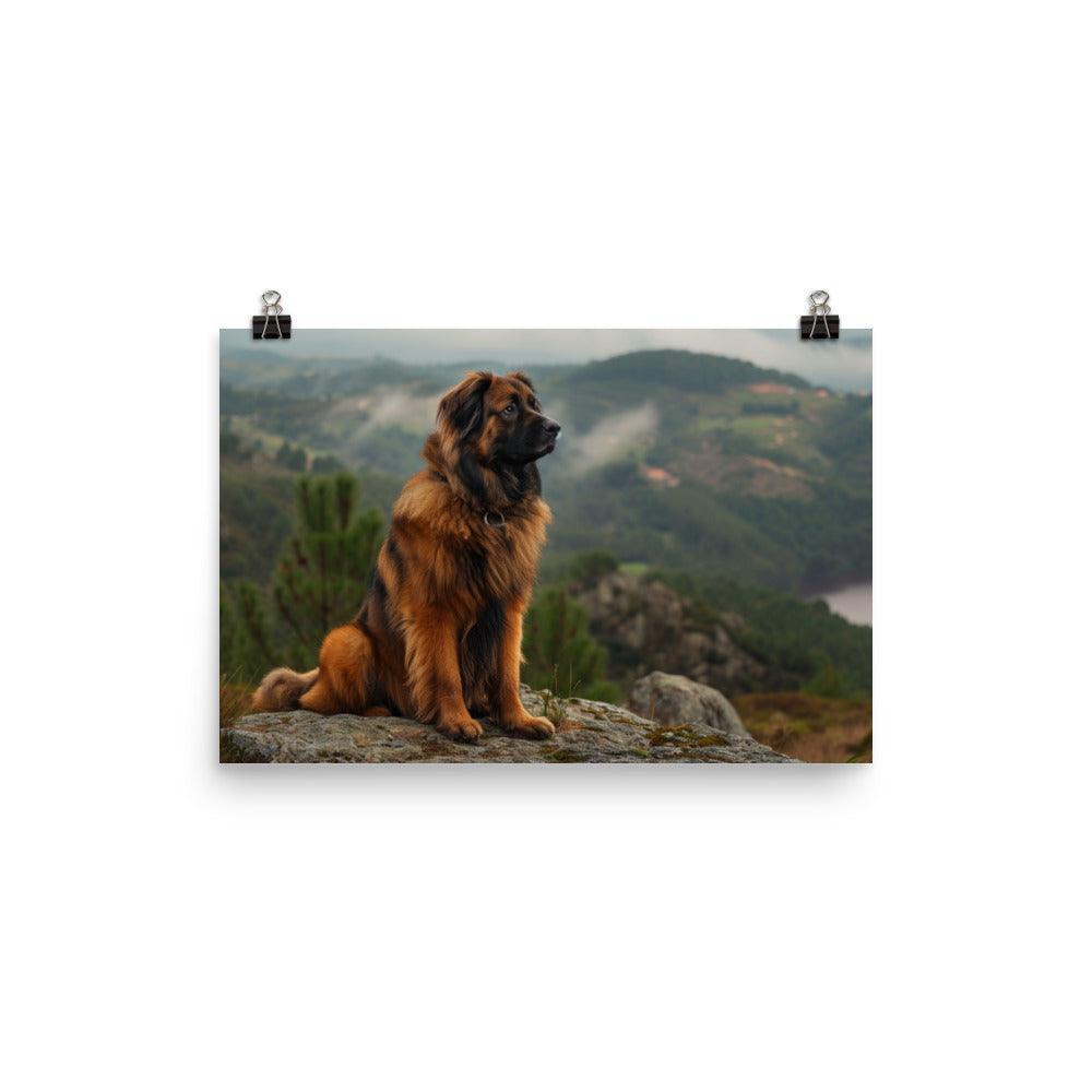 Estrela Mountain Dog Overlooking Valley View Poster - Oh Posters