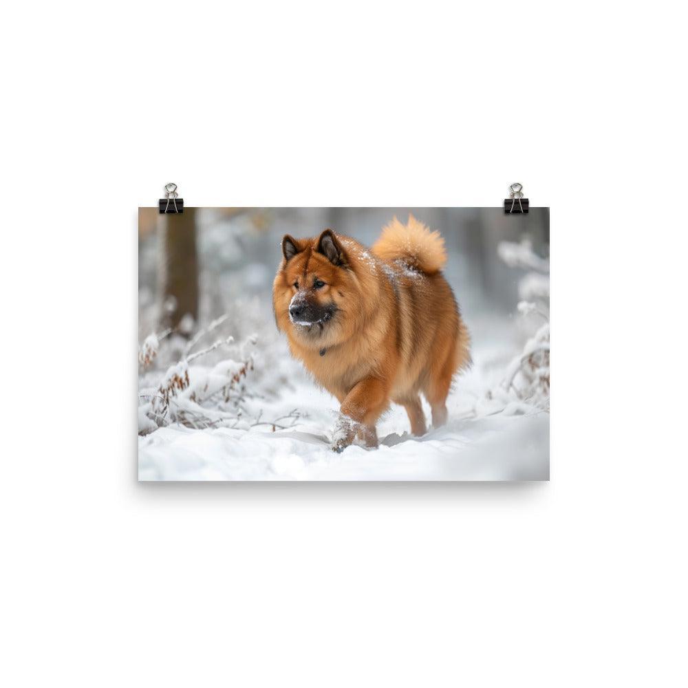 Eurasier Dog Exploring Snowy Landscape Photo Poster - Oh Posters