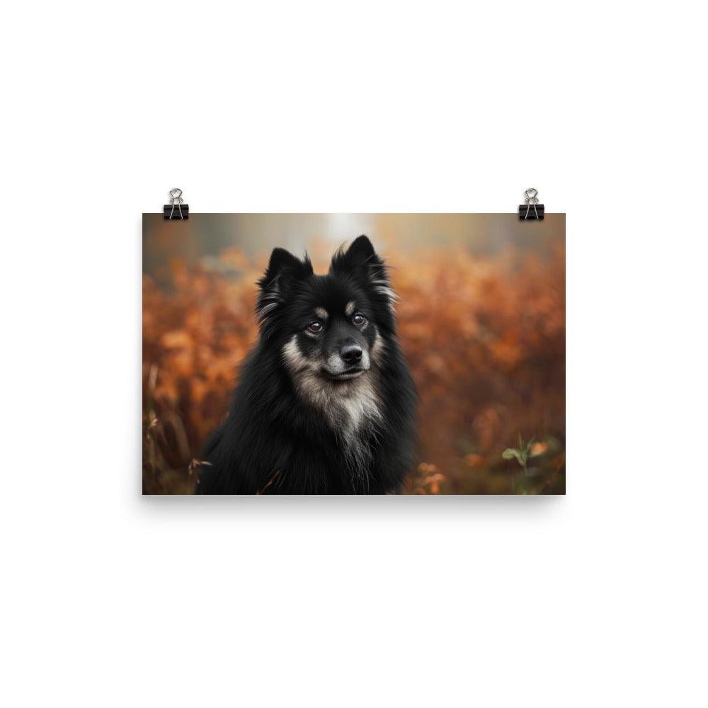 Finnish Lapphund Majestic Autumn Portrait Poster - Oh Posters