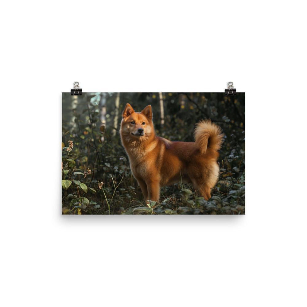 Finnish Spitz Forest Light Photography Poster - Oh Posters