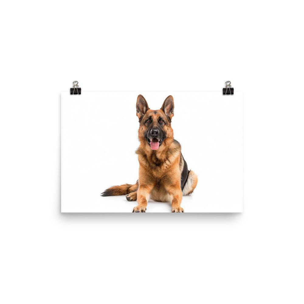 German Shepherd Studio Photograph Poster - Oh Posters