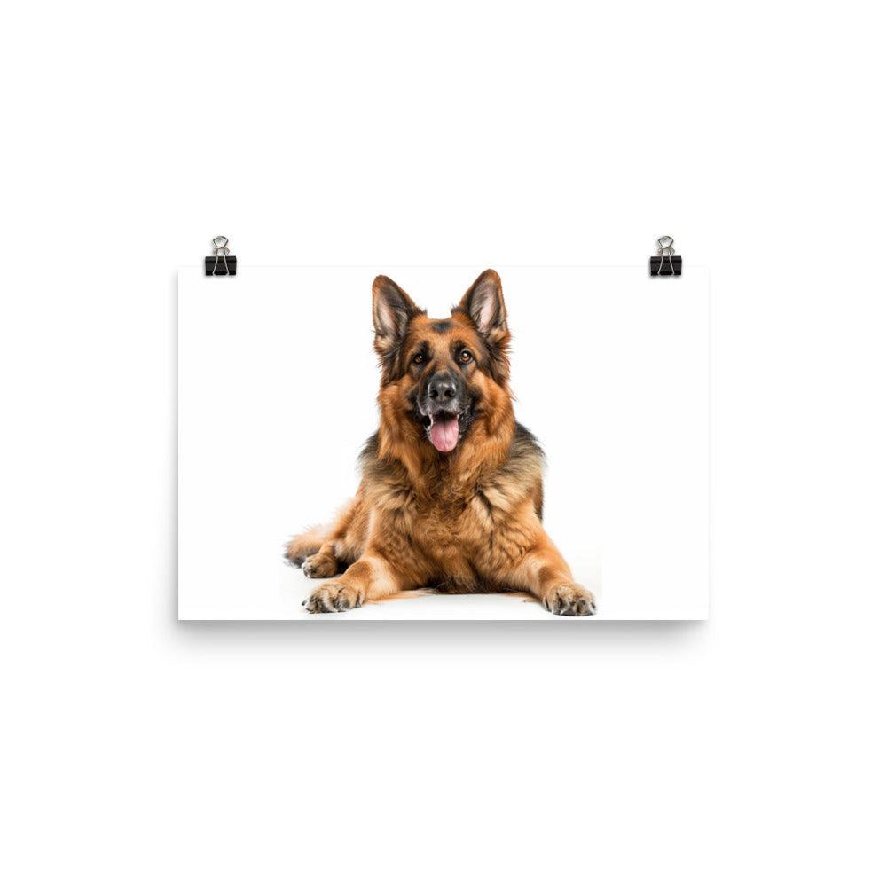 German Shepherd Smiling Studio Photo Poster - Oh Posters