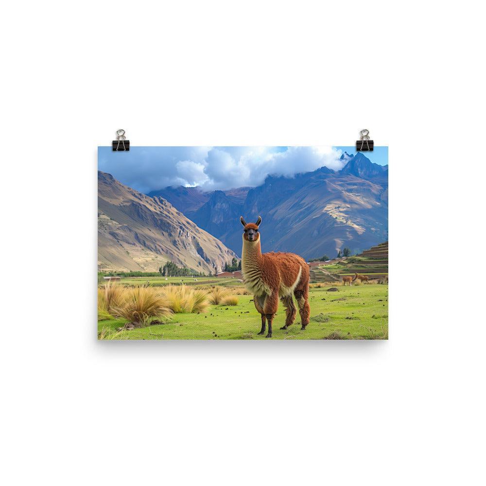 Peru Majestic Llama Andean Landscape Poster - Oh Posters