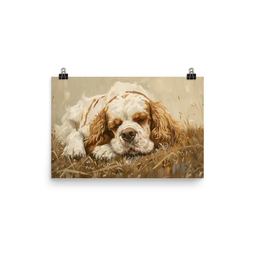 Clumber Spaniel Resting in Field Painting Poster - Oh Posters