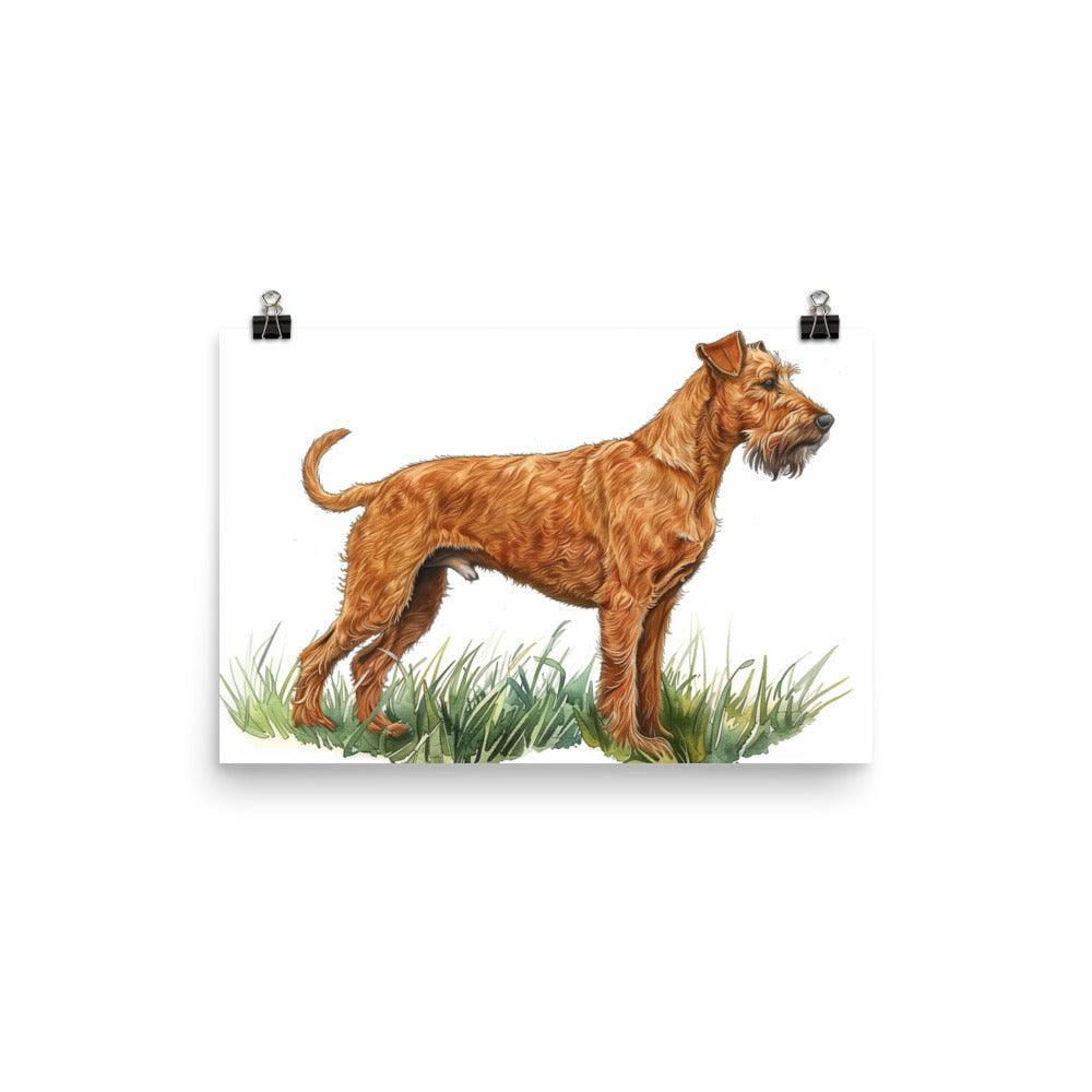 Irish Terrier Detailed Illustration Poster - Oh Posters