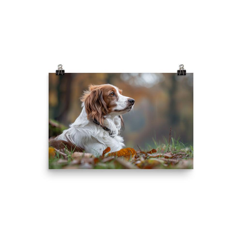 Kooikerhondje Resting in Autumn Leaves Photograph Poster - Oh Posters