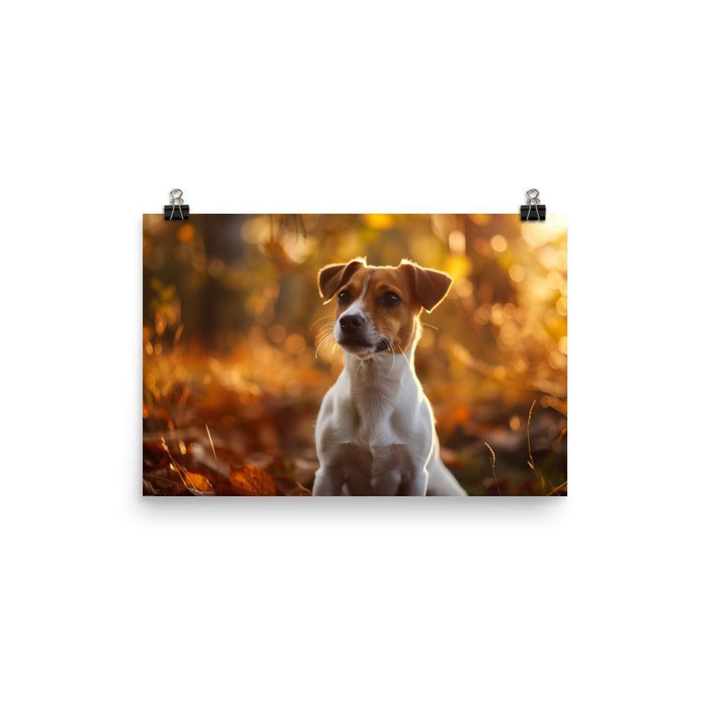 Jack Russell Terrier Autumn Forest Photograph Poster - Oh Posters