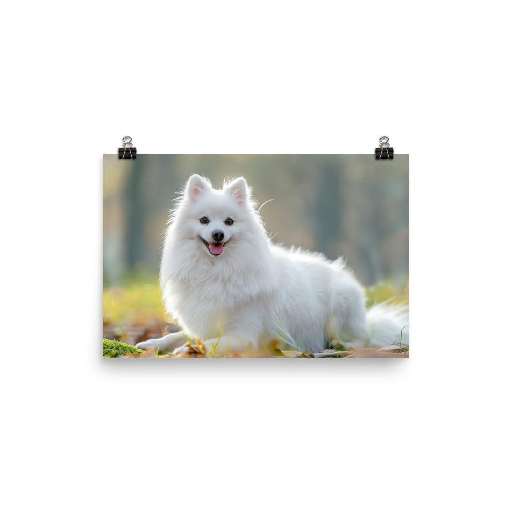 Japanese Spitz in Sunlit Park Photograph Poster - Oh Posters