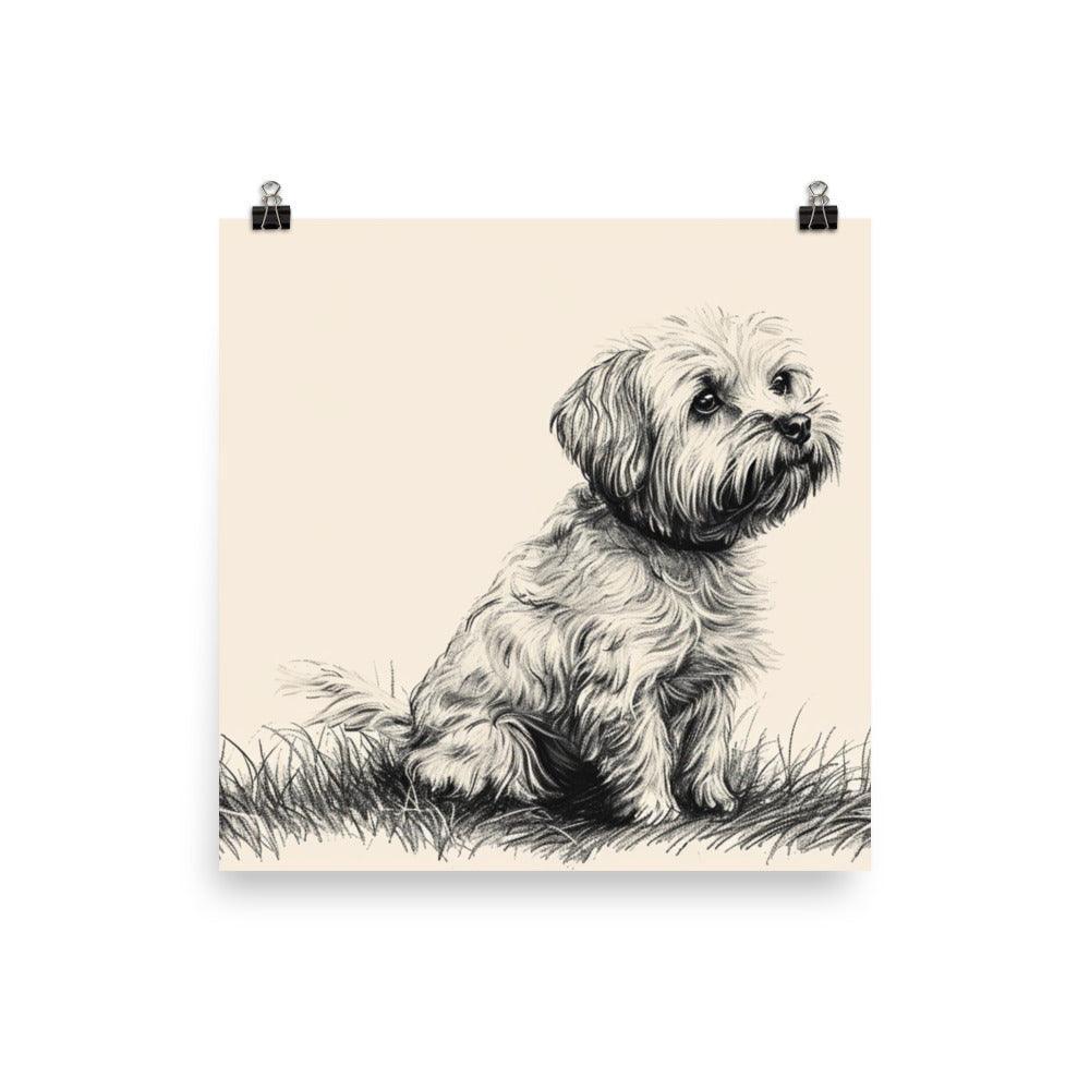 Dandie Dinmont Terrier Pencil Sketch Dog Poster - Oh Posters