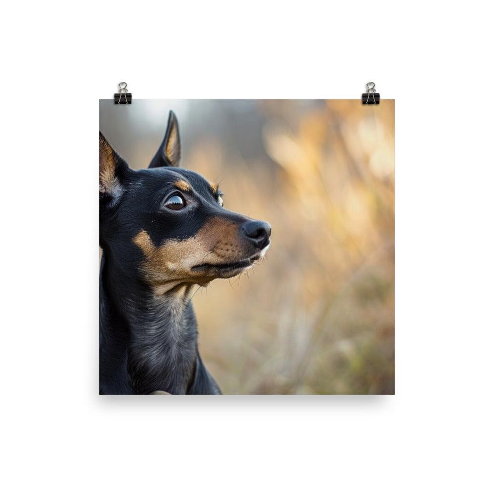 Expressive English Toy Terrier in Natural Setting Poster - Oh Posters