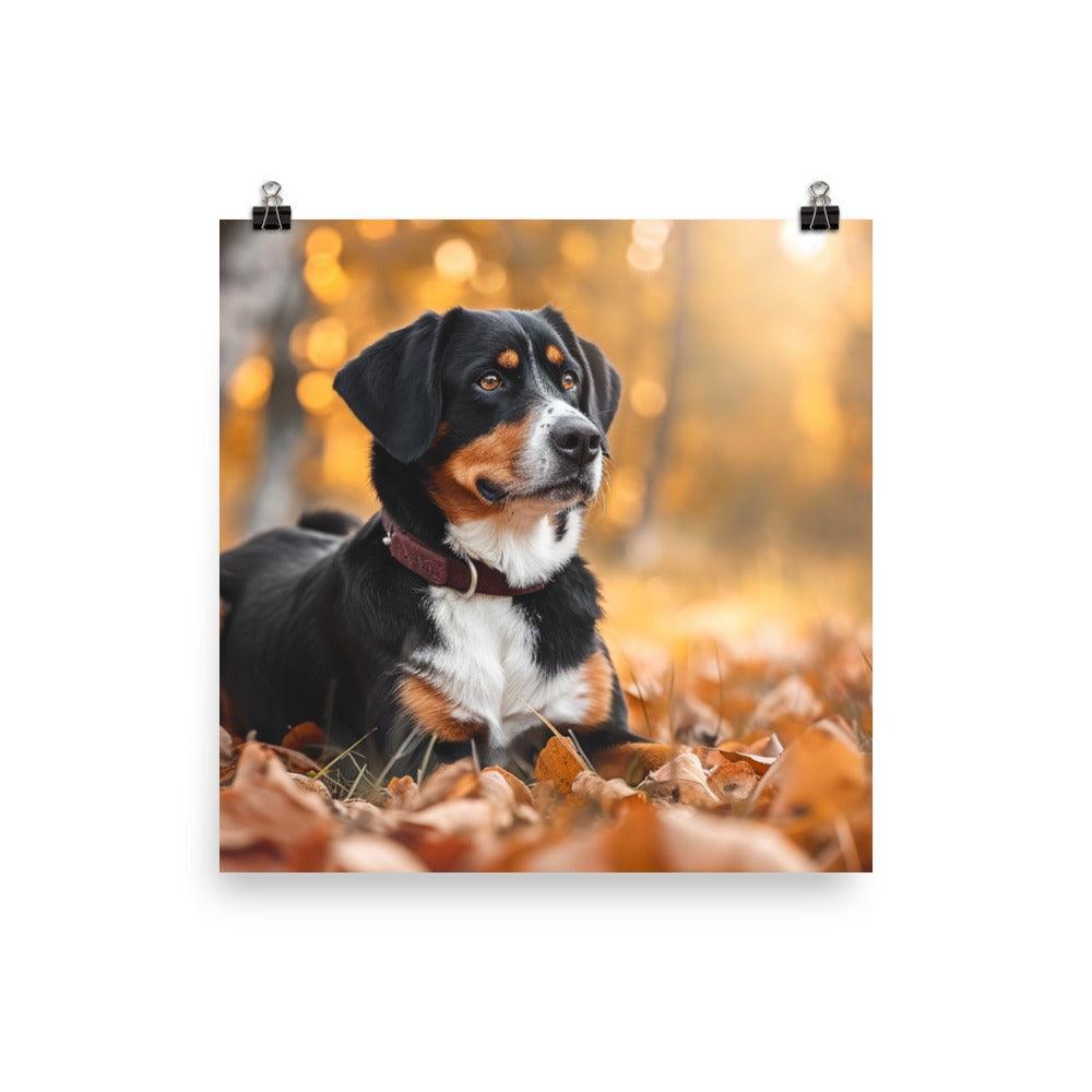 Entlebucher Mountain Dog Autumn Leaves Photography Poster - Oh Posters