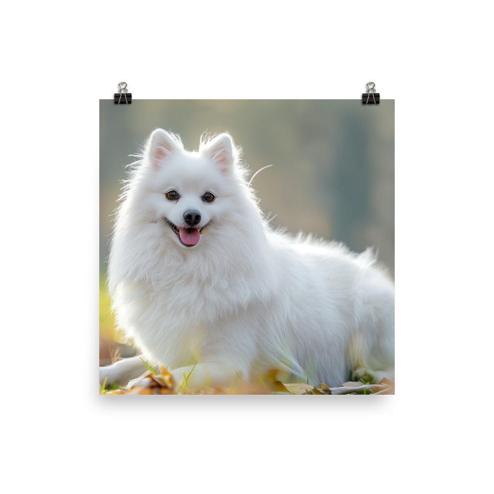 Japanese Spitz in Sunlit Park Photograph Poster - Oh Posters